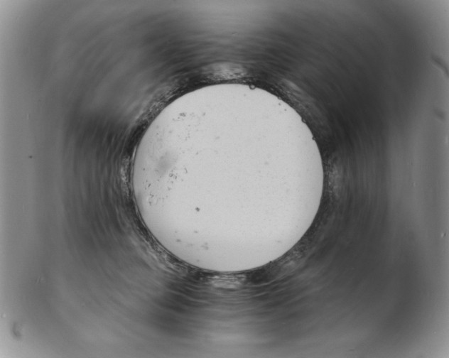 X0000102220373200808221251