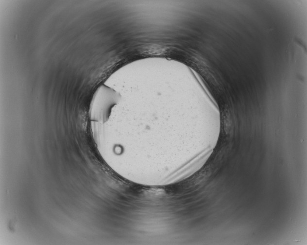 X0000102220374200808221251