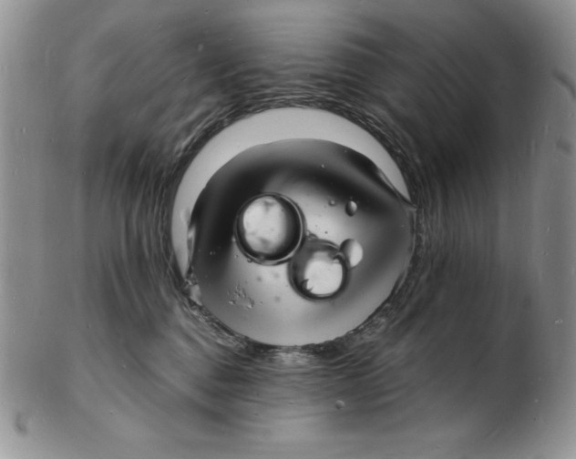 X0000102220376200808221251