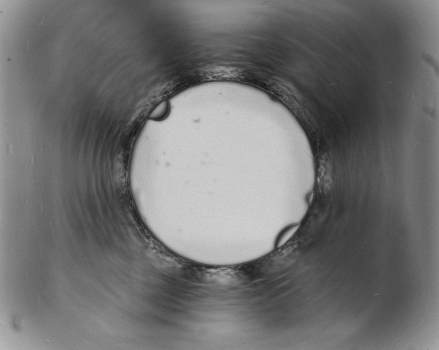 X0000102220377200808221251