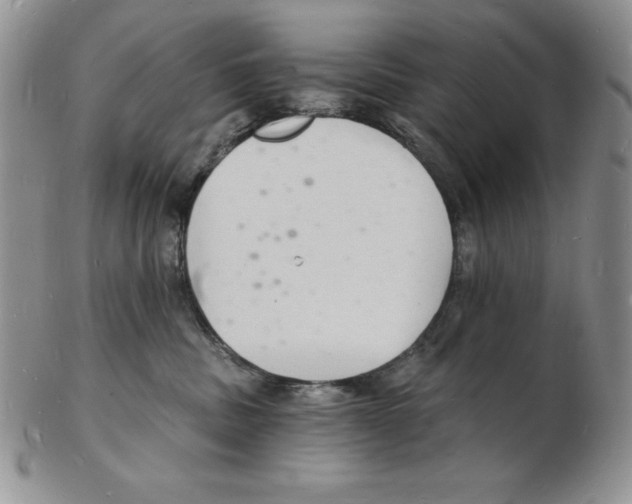 X0000102220379200808221251