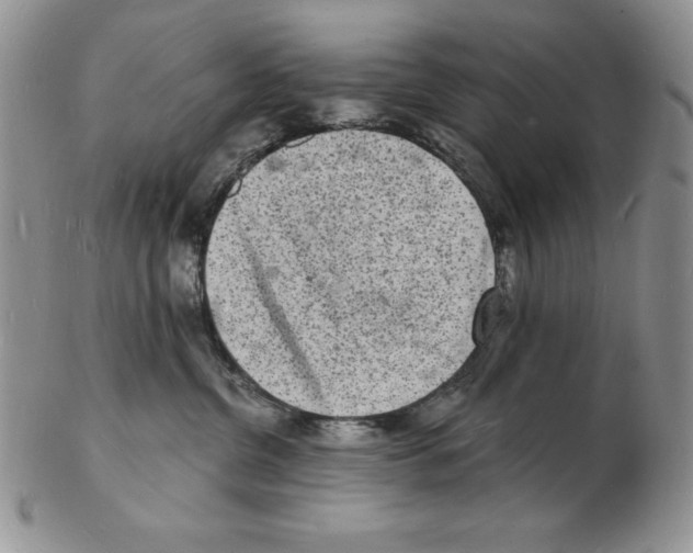 X0000102220380200808221251