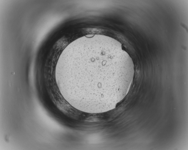 X0000102220381200808221251