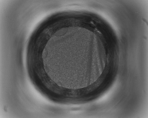 X0000102220383200808221251