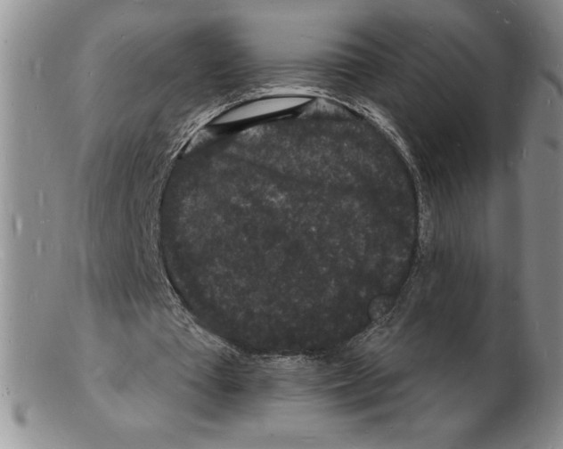 X0000102220385200808221250