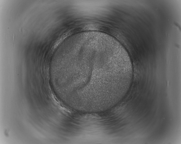 X0000102220386200808221250