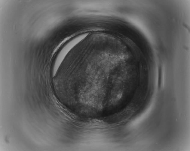 X0000102220387200808221250