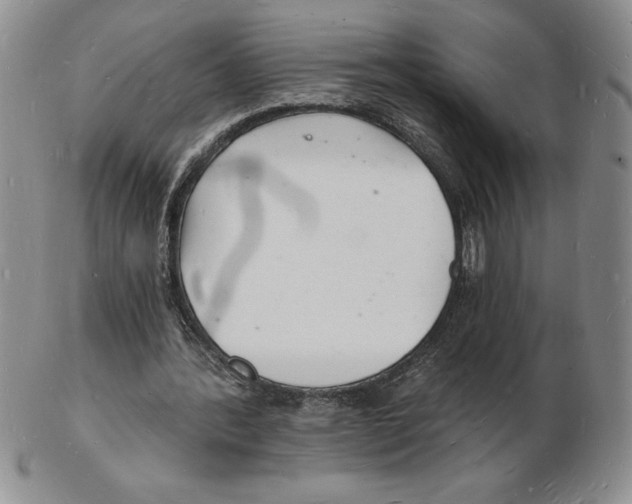 X0000102220388200808221250