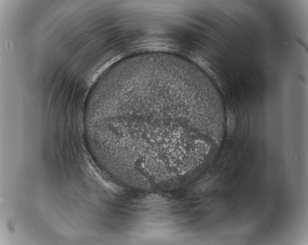 X0000102220390200808221250