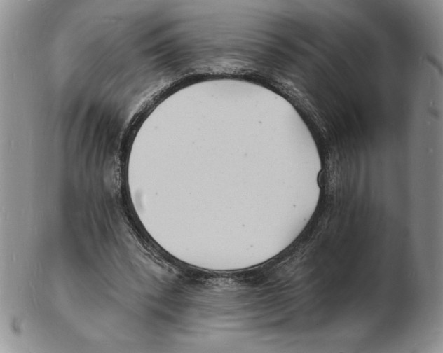 X0000102220392200808221250