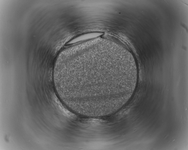 X0000102220393200808221250