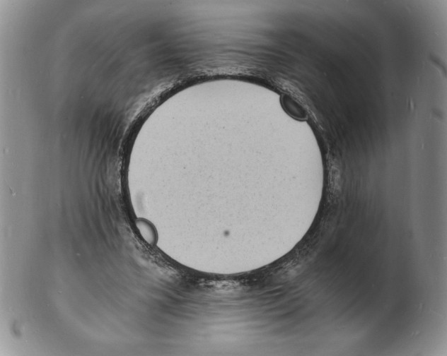 X0000102220395200808221250