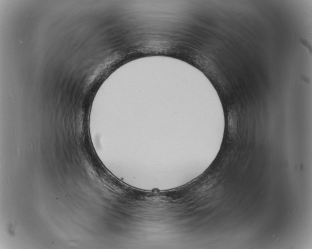 X0000102220396200808221250