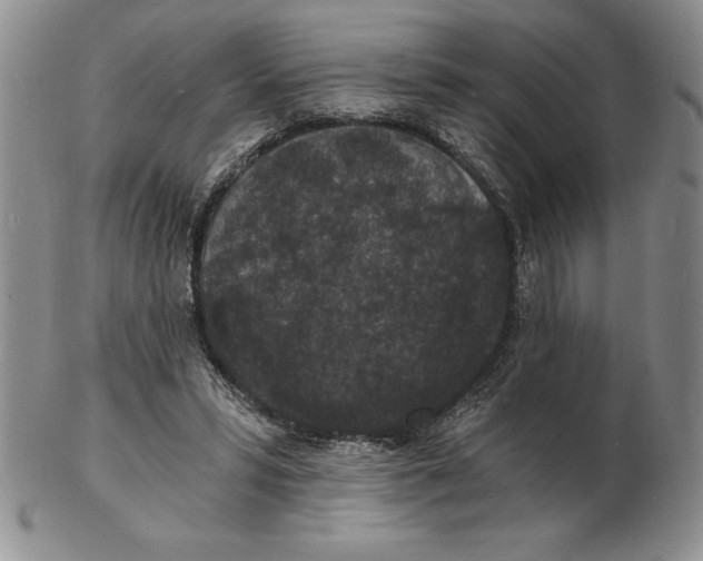 X0000102220399200808221250