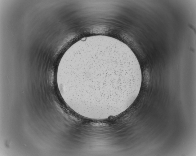 X0000102220400200808221250