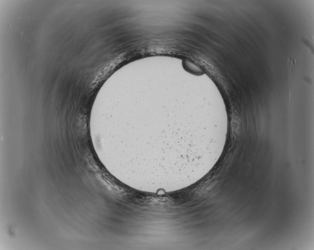 X0000102220401200808221250