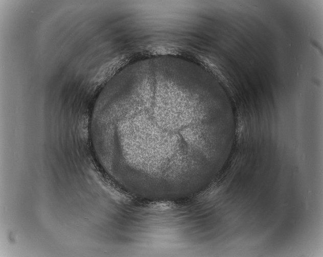 X0000102220402200808221250