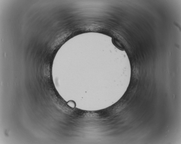 X0000102220403200808221250