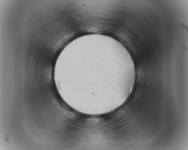 X0000102220404200808221250