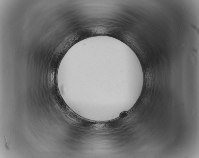 X0000102220406200808221250