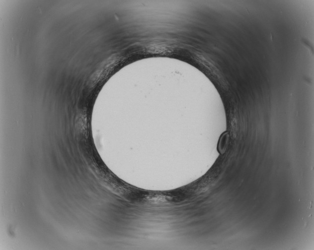 X0000102220407200808221250