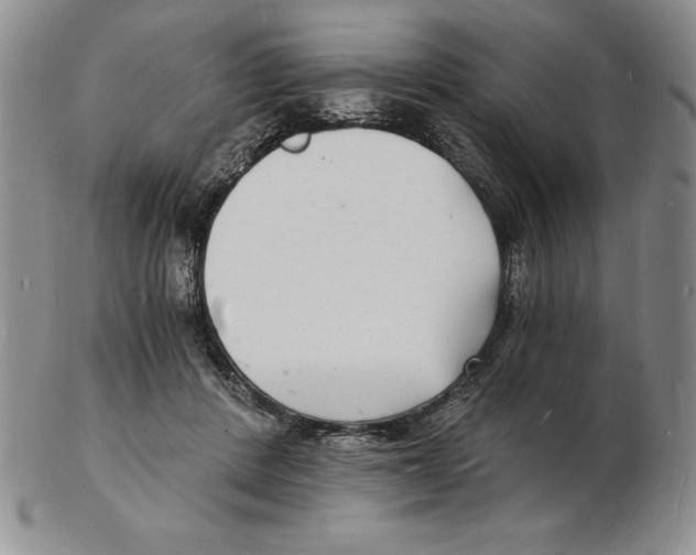 X0000102220408200808221250