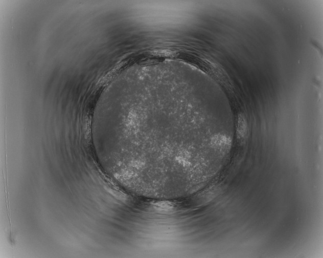 X0000102220409200808221250