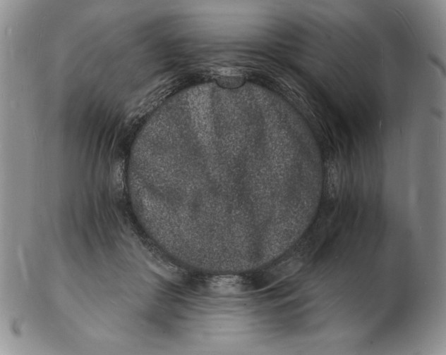 X0000102220410200808221250