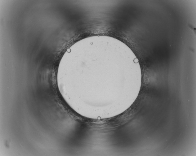 X0000102220411200808221250