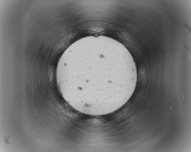 X0000102220412200808221250