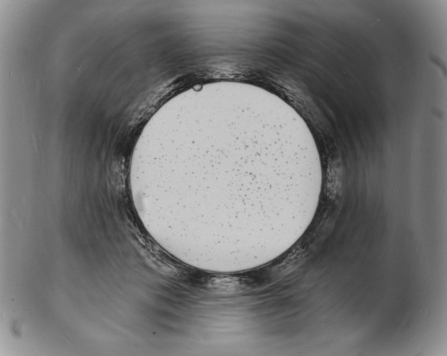 X0000102220413200808221250