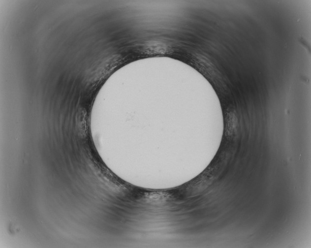 X0000102220414200808221250