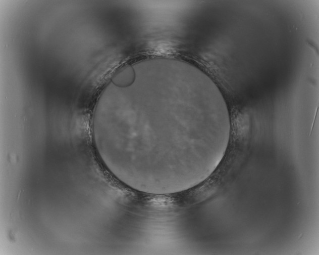 X0000102220415200808221250