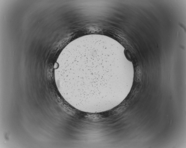 X0000102220417200808221250