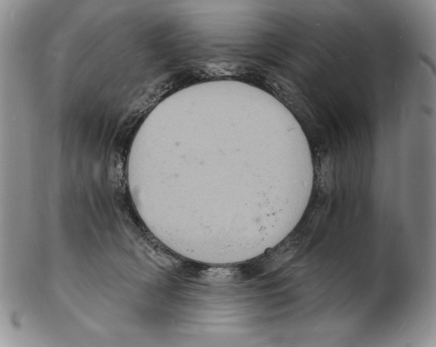 X0000102220418200808221250