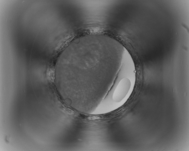 X0000102220419200808221250