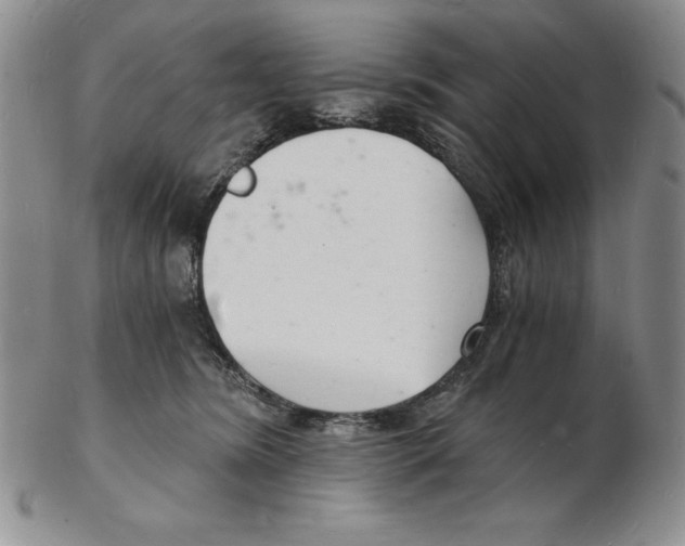 X0000102220420200808221250