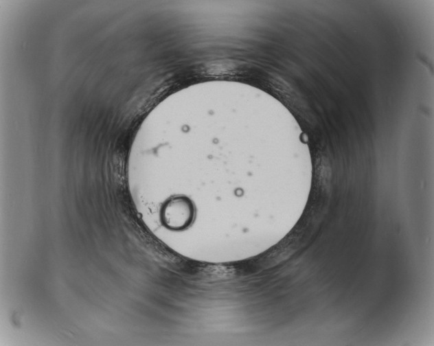 X0000102220421200808221250