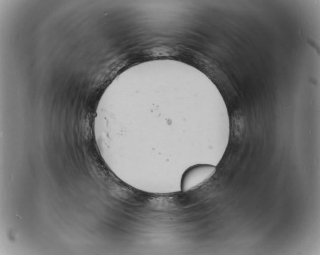 X0000102220422200808221250