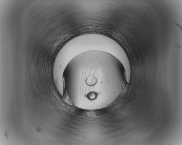 X0000102220423200808221250