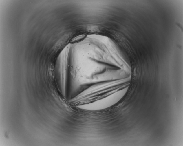 X0000102220424200808221250