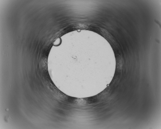 X0000102220425200808221250