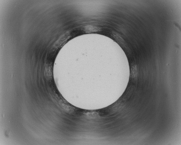 X0000102220426200808221250