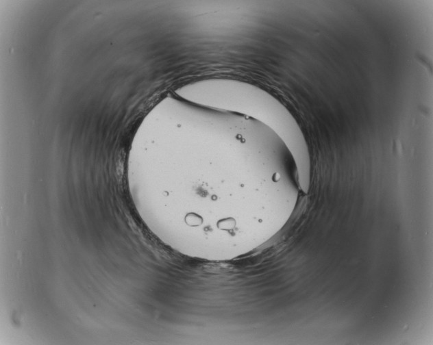 X0000102220427200808221250