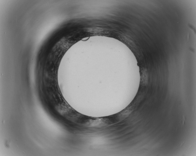 X0000102220430200808221250