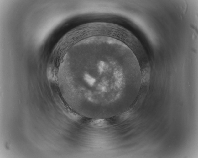 X0000102220431200808221250