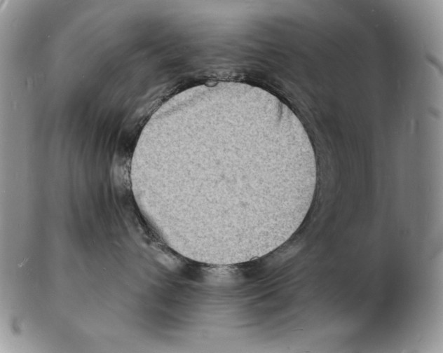 X0000102220432200808221250