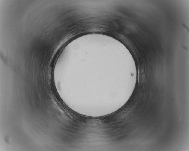 X0000102220435200808221249