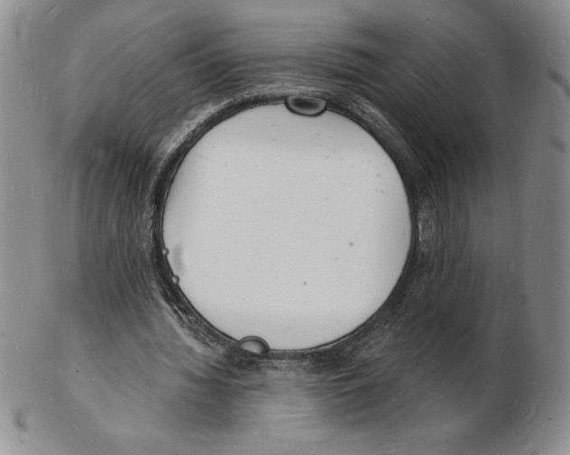 X0000102220436200808221249