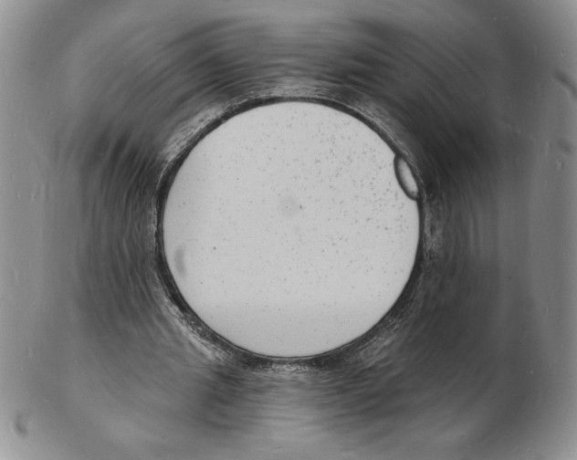 X0000102220437200808221249